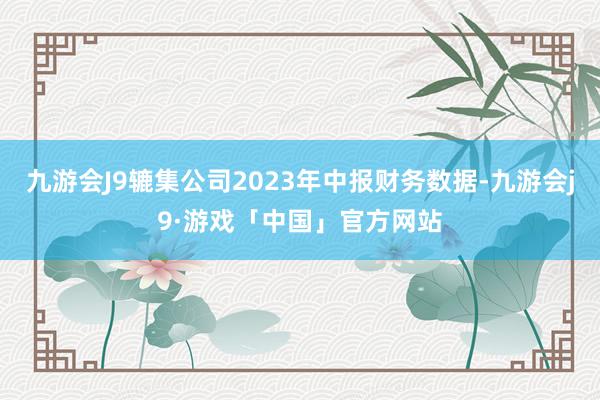 九游会J9辘集公司2023年中报财务数据-九游会j9·游戏「中国」官方网站