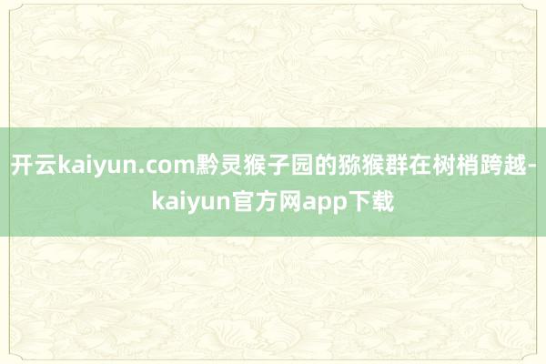 开云kaiyun.com黔灵猴子园的猕猴群在树梢跨越-kaiyun官方网app下载