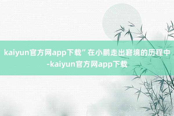 kaiyun官方网app下载”　　在小鹏走出窘境的历程中-kaiyun官方网app下载