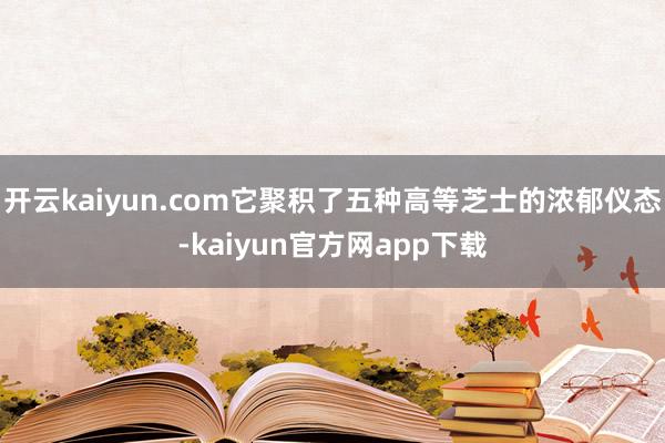 开云kaiyun.com它聚积了五种高等芝士的浓郁仪态-kaiyun官方网app下载