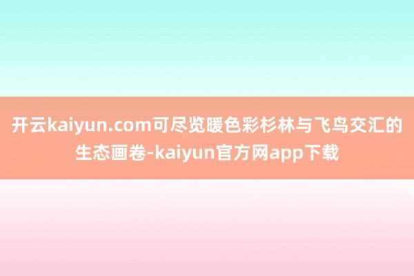 开云kaiyun.com可尽览暖色彩杉林与飞鸟交汇的生态画卷-kaiyun官方网app下载