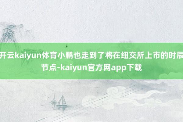 开云kaiyun体育小鹏也走到了将在纽交所上市的时辰节点-kaiyun官方网app下载