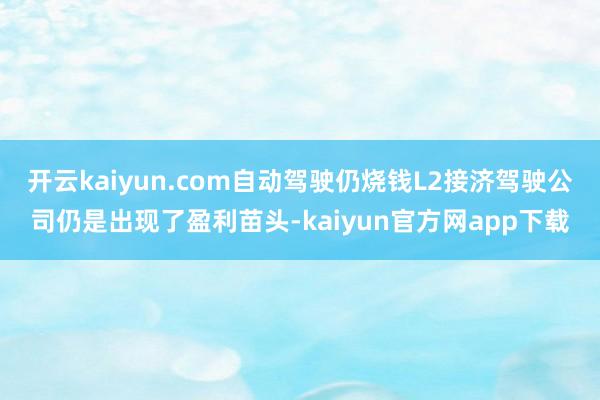 开云kaiyun.com自动驾驶仍烧钱L2接济驾驶公司仍是出现了盈利苗头-kaiyun官方网app下载