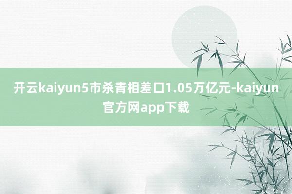 开云kaiyun5市杀青相差口1.05万亿元-kaiyun官方网app下载