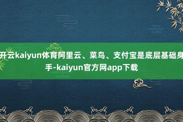 开云kaiyun体育阿里云、菜鸟、支付宝是底层基础身手-kaiyun官方网app下载
