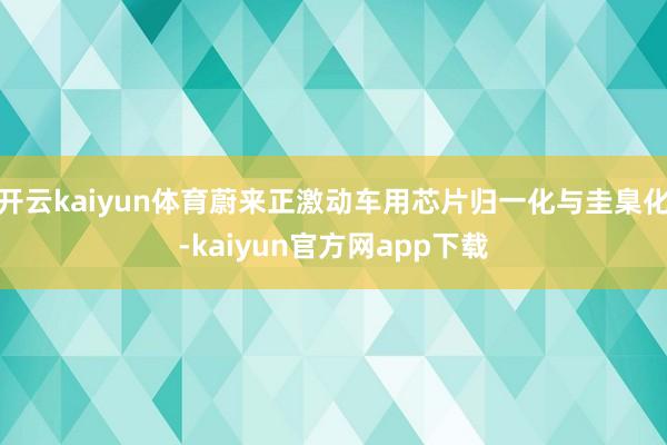 开云kaiyun体育蔚来正激动车用芯片归一化与圭臬化-kaiyun官方网app下载