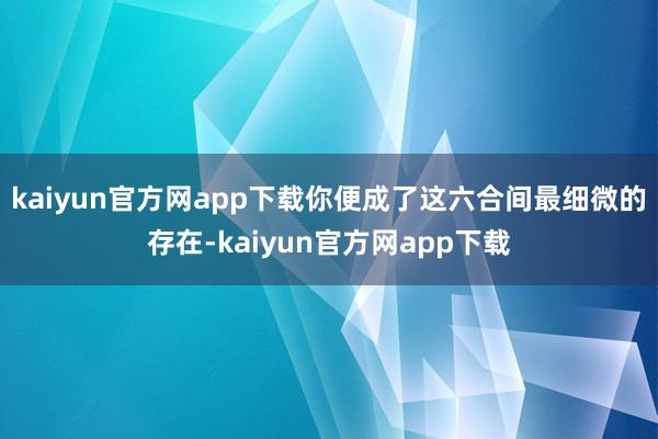 kaiyun官方网app下载你便成了这六合间最细微的存在-kaiyun官方网app下载