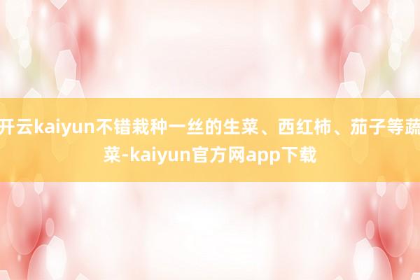 开云kaiyun不错栽种一丝的生菜、西红柿、茄子等蔬菜-kaiyun官方网app下载