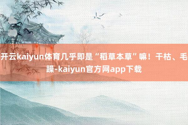 开云kaiyun体育几乎即是“稻草本草”嘛！干枯、毛躁-kaiyun官方网app下载